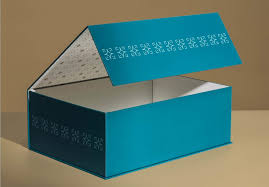 Collapsible Rigid Boxes